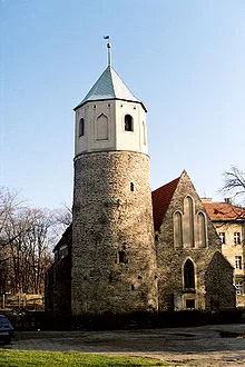 Zdjęcie z galerii