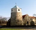 Miniatura